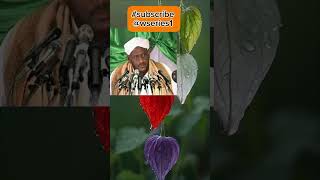 Kalmad taban donto qof kasto iiman leh sheikh saalax macalin subscribe Wseries1 somalia [upl. by Ahsehat823]