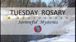 Tuesday Rosary • Sorrowful Mysteries of the Rosary 💜 March 12 2024 VIRTUAL ROSARY  MEDITATION [upl. by Hcirdeirf]