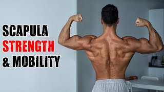 Scapula Strength amp Mobility Secret to Super Strong Upper Body [upl. by Gettings]