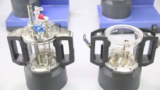 How to use the IKA LR 1000 basic laboratory reactor [upl. by Boyes]