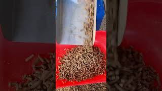 Electric poultry chicken feeds grass pellet making machine diesel cattle pelletizer machine [upl. by Asylem]