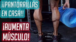 ¿Cómo entrenar las pantorrillas en casa  CIENCIA APLICADA [upl. by Barry]