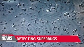 New superbug detecting method developed by Korean researchers [upl. by Bedelia]