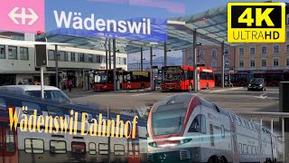 Bahnhof Wädenswil beim Züge  train station in Wädenswil Switzerland 4K 60fps video [upl. by Wellesley]