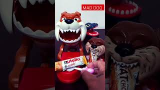 MAD DOG WITH A NUTELLA B AND CHIWAWA DOG BITE A OATS BISCUITS ASMRshortsviral shortsvideo [upl. by Cavil]