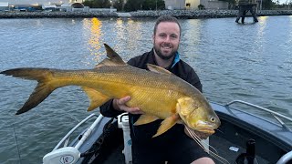 Brisbane river threadfin salmon fishing Port of brisbane live bait [upl. by Anallise459]