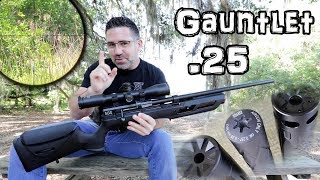 Umarex Gauntlet 25 Air Rifle Review  Accuracy TEST  50 amp 100 Yard  Regulated PCP Pellet Gun [upl. by Couchman70]