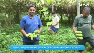 PRODUTORES DE MORRETES ABASTECEM CEASA DE CURITIBA E FEIRAS DO LITORAL [upl. by Xylina907]