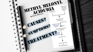 Methylmalonic Aciduria  Metabolic defect in Amino Acid metabolism  Biochemistry 📍 [upl. by Yazbak]