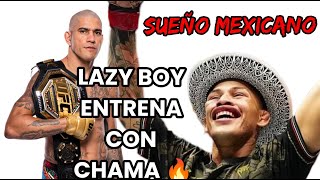 INCREÍBLE 😱 LAZY BOY pelea contra ALEX PEREIRA 🔥CHAMA [upl. by Uaeb]