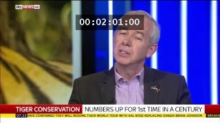 SWT Founder Simon Clinton talks Tigers on Sky News [upl. by Pearle393]