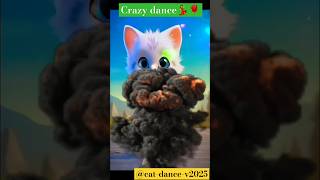 Crazy dance 💃🌹 Catdancev2025 shorts kitten 094 catlover [upl. by Whittemore]