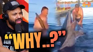 Guy Playing With A Shark Pays The Ultimate Price [upl. by Norvin336]