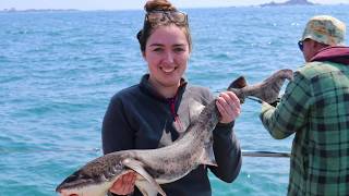 Alderney Fishing Trip on Snapper Charters [upl. by Ransell]