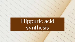 Hippuric acid synthesis [upl. by Zeiler]