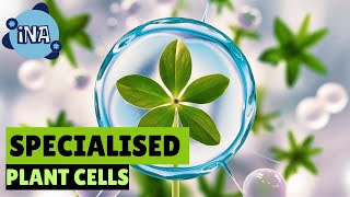 Incredible Secrets of Plant Cells [upl. by Colver559]