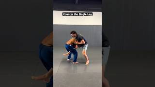 Single Leg Counters jiujitsuflo jiujitsu bjj wrestling judo [upl. by Groos]