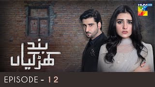 Band Khirkiyan  Episode 12  Agha Ali  Sara Khan  Agha Mustafa  HUM TV Drama [upl. by Spragens673]