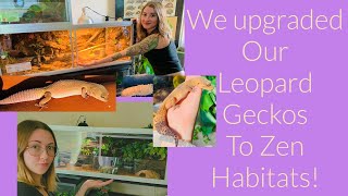 Upgrading Our Leopard Geckos to Zen Habitats [upl. by Docia677]