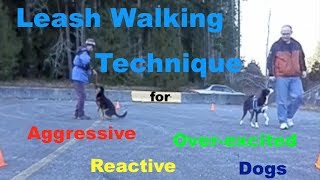 Leash Walking Technique for Aggressive Reactive or Over Excited Dogs [upl. by Halstead471]