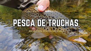 PESCA DE TRUCHAS EN UN RÍO CON MUY POCO CAUDAL 🎣😬 ESTOS SON LOS SEÑUELOS QUE PUEDES USAR [upl. by Giacomo763]