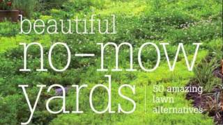 Beautiful NoMow Yards 50 Amazing Lawn Alternatives [upl. by Hansiain]