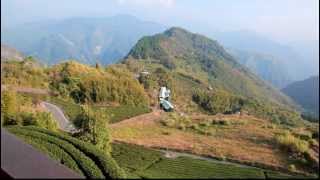 Trip Travel in Taiwan  Alishan阿里山之旅 January 2014 [upl. by Maiga]