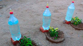 Como hacer Riego por Goteo con botellas de plastico para 15 dias de goteo lento [upl. by Boudreaux335]