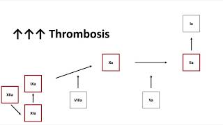 Antithrombin Deficiency [upl. by Mylor]