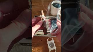 lighting up this wonderful cigar early in the morning 🌄 asmr cigars Zigarre myhabanosmoment [upl. by Aniretak526]