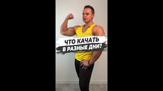 ✅ ЧТО КАЧАТЬ В РАЗНЫЕ ДНИ [upl. by Cloutman]