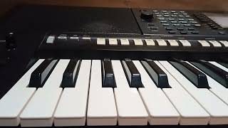 Style  Song Ali  Ali Langgam Yamaha keyboardyamahapsr coveryamahapsr music yamahapsrs975 [upl. by Ayahsal]