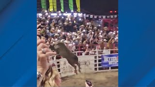 Bull jumps fence at Sisters Rodeo [upl. by Ayardna563]