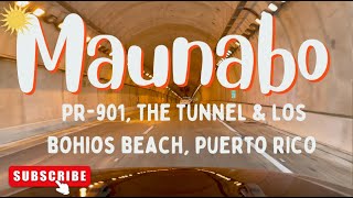 Maunabo PUERTO RICO in 4K 2022 PR 901 the tunnel and Bohios Beach [upl. by Iveson]