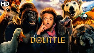 Dolittle Full Movie In Hindi Dubbed HD  New Hollywood Movie  Facts amp Review [upl. by Corenda]