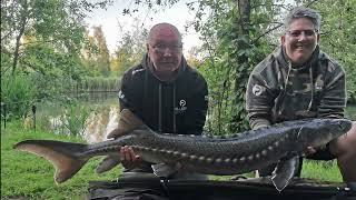 Team Pallatrax Takeover 2022  Carp Fishing at Carpinsula Belgium [upl. by Ingram838]