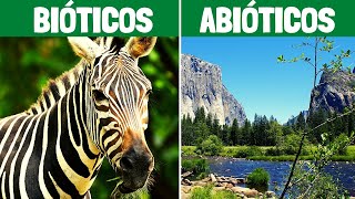 FACTORES BIÓTICOS y FACTORES ABIÓTICOS características y ejemplos🌎🌱 [upl. by Elissa]