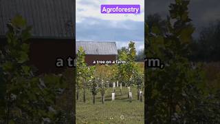 Agroforestry  Farm Modernization  Sustainable Agriculture viralvideo facts [upl. by Haidedej]