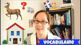 VISITE DUN APPARTEMENT QUÉBÉCOIS VOCABULAIRE [upl. by Eulalee]