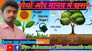 पौधा और मानव में श्वसनसभी महत्वपूर्ण टॉपिक रेलवे और एससी के लिएexambiology respiration vvi [upl. by Jezreel]