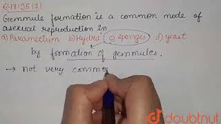 Gemmule formation is a common mode of asexual reproduction in  CLASS 12  REPRODUCTION  BIOLO [upl. by Anisor441]