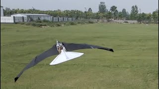 Ornithopter with morphingcoupled wingbeat pattern [upl. by Bashemath]