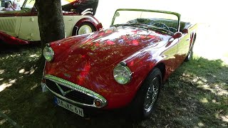 1964 Daimler Dart SP 250  Exterior and Interior  OldtimerMeeting BadenBaden 2022 [upl. by Nuahsyt]