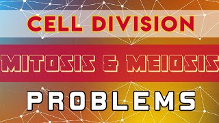 Cell division  Mitosis and Meiosis  Problems [upl. by Ardnod]