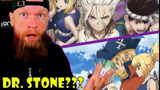 Dr STONE Opening and Endings Reaction [upl. by Shere]