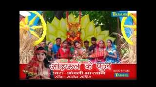 Anjali Bhardwaj Bhakti Song  Nimiya ke Dhar Maaiya Bhojpuri Devigeet Bhakti Song [upl. by Conlin323]