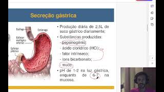 Digestão proteínas [upl. by Di246]