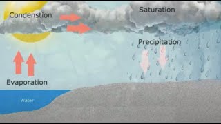 Convectional Rainfall [upl. by Isman701]