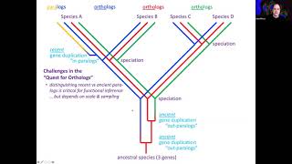 Orthology Lecture [upl. by Wendall]