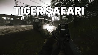 Tiger Safari Quest Guide  Customs  Escape from Tarkov escapefromtarkov tarkov [upl. by Sihtam841]